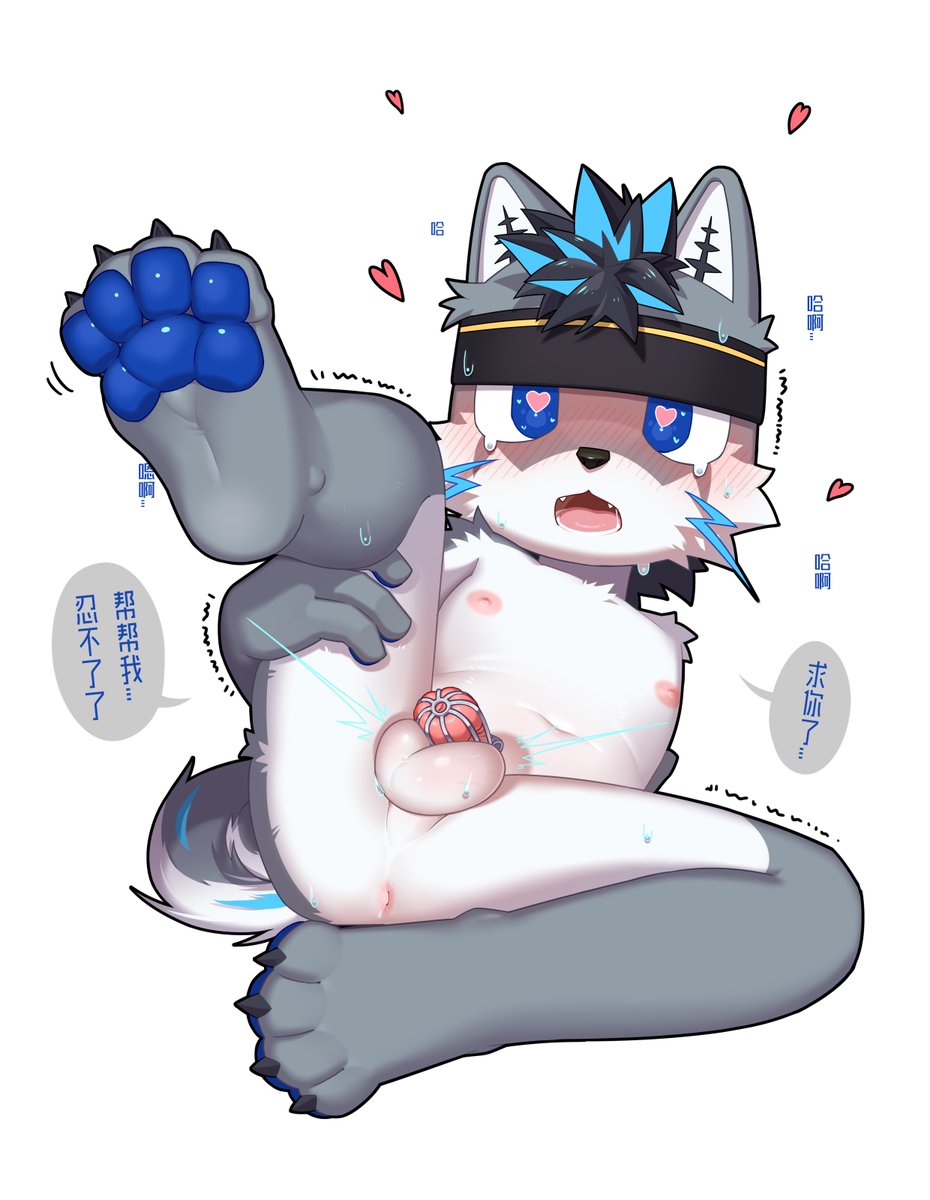 美味白米饭 tweet media