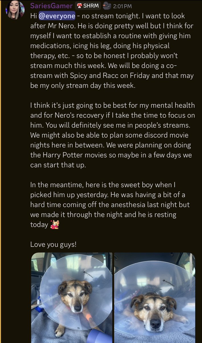 SariesGamer tweet media