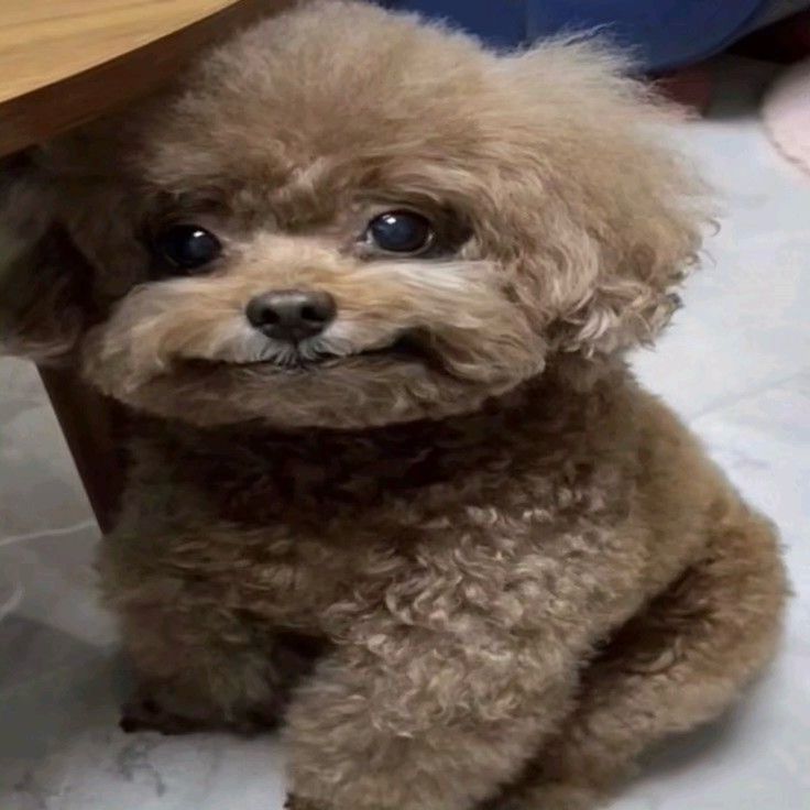 La profe le acaba de pedir a un chico que lea en voz alta y mientras leía se le escapó un re eructo, y para rematar el pibe tira: uh, mucho mate jeje (?????????