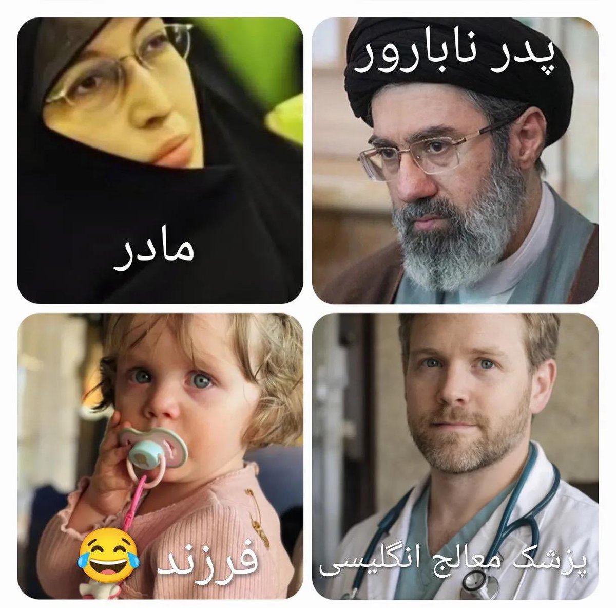 🇮🇷گربه ایرانی🐈‍⬛ tweet media
