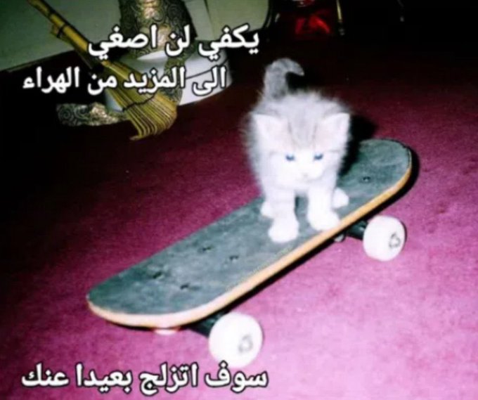 dark  tweet media