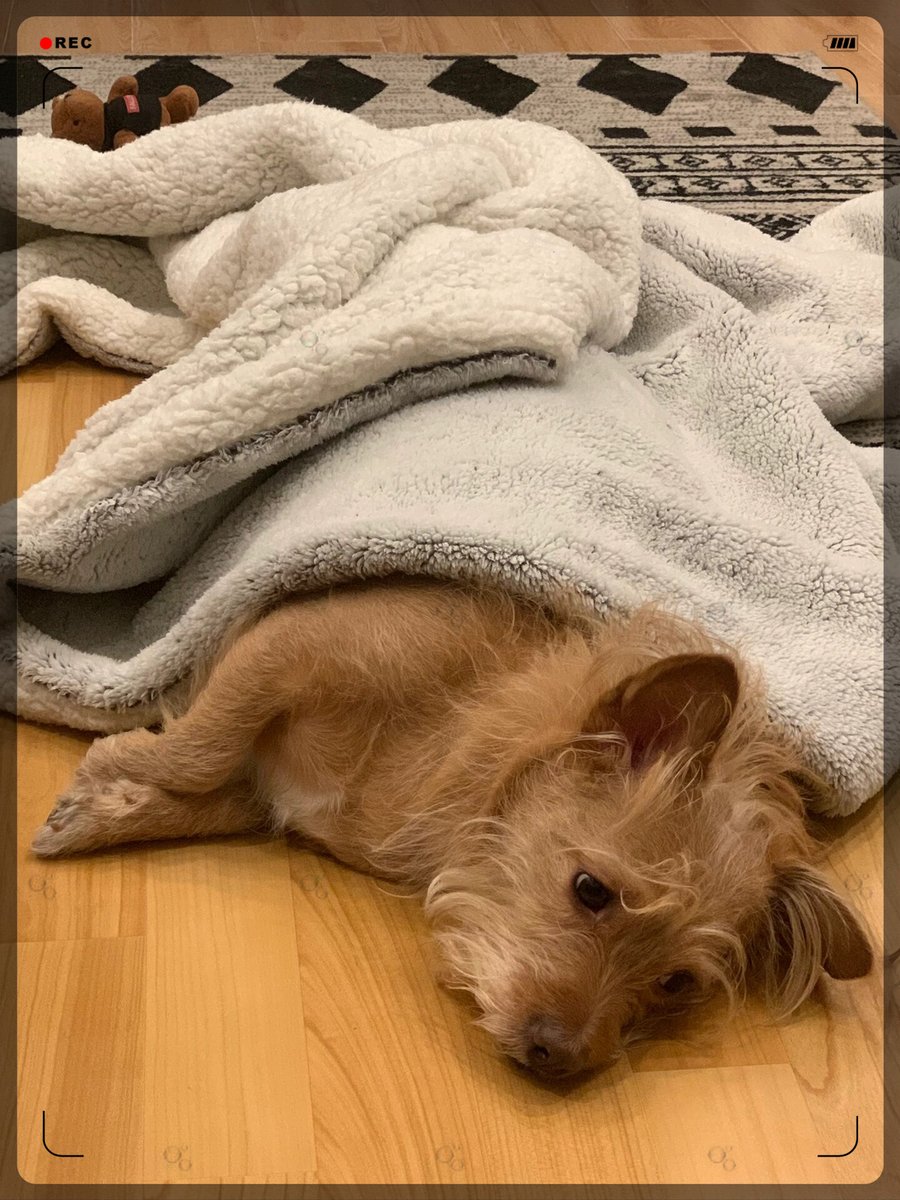 акыл ажимаматов tweet media