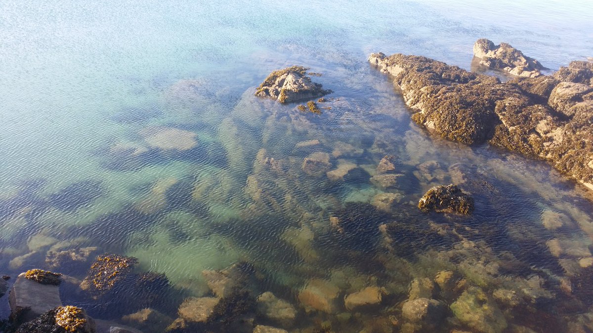 IceView_Nine's tweet image. It's a Water Wednesday.

Share photo with water in it.

#sea #water #nature #photo #Photograph