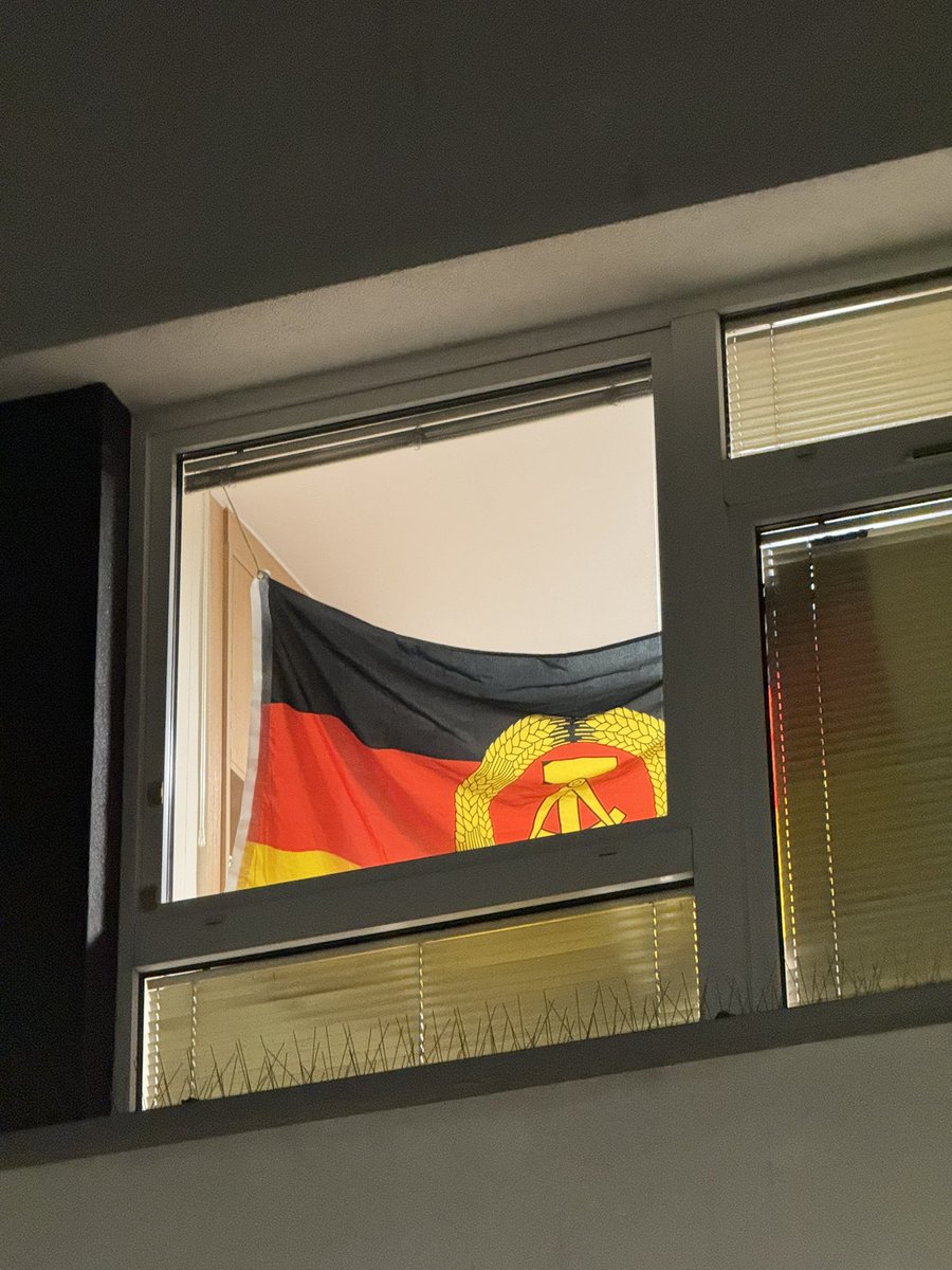 Lucy 🏳️‍⚧️🏳️‍🌈 tweet media