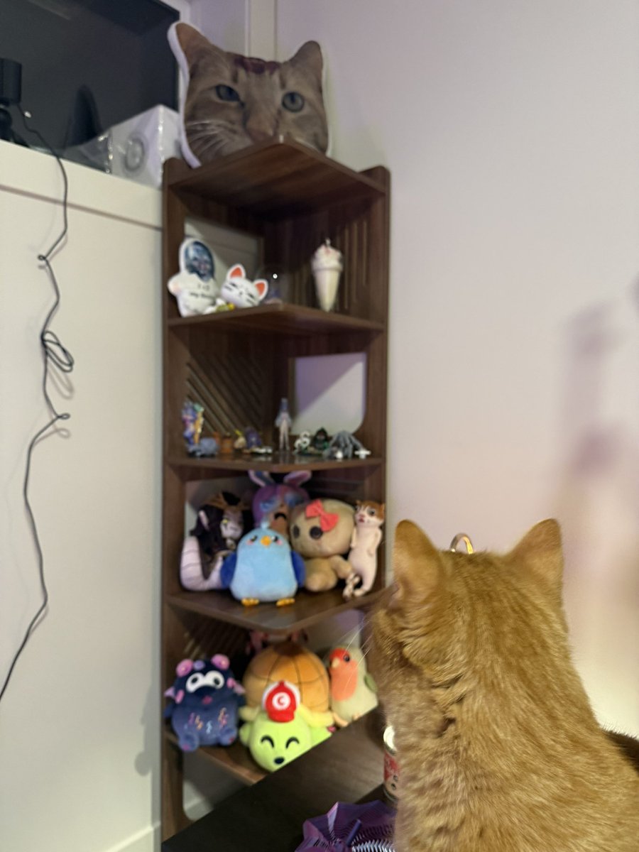 CottontailVA 🐰💋 tweet media