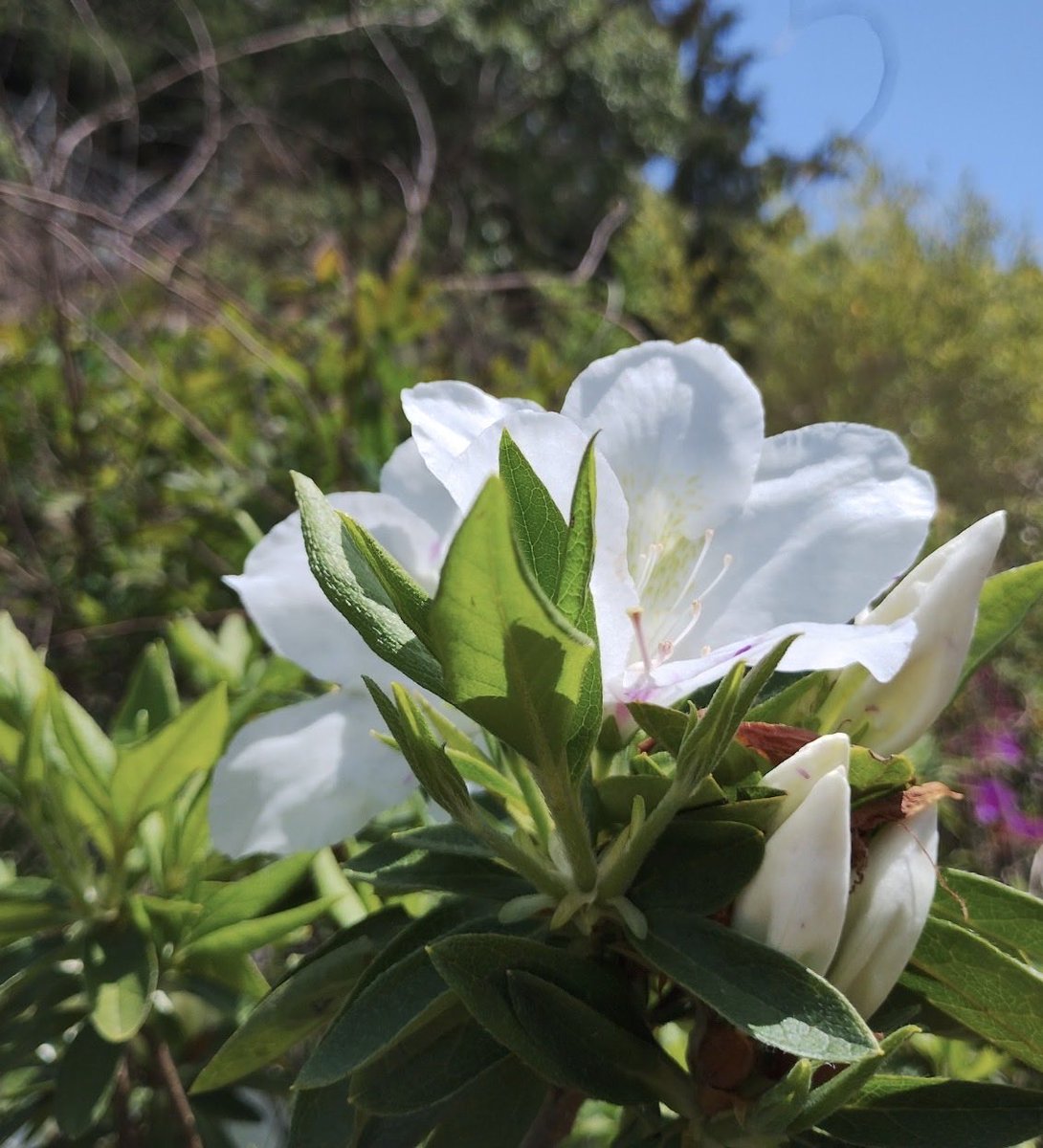 カバな幸せ【相互フォロー】 tweet media