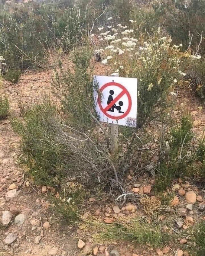 Love Art tweet media