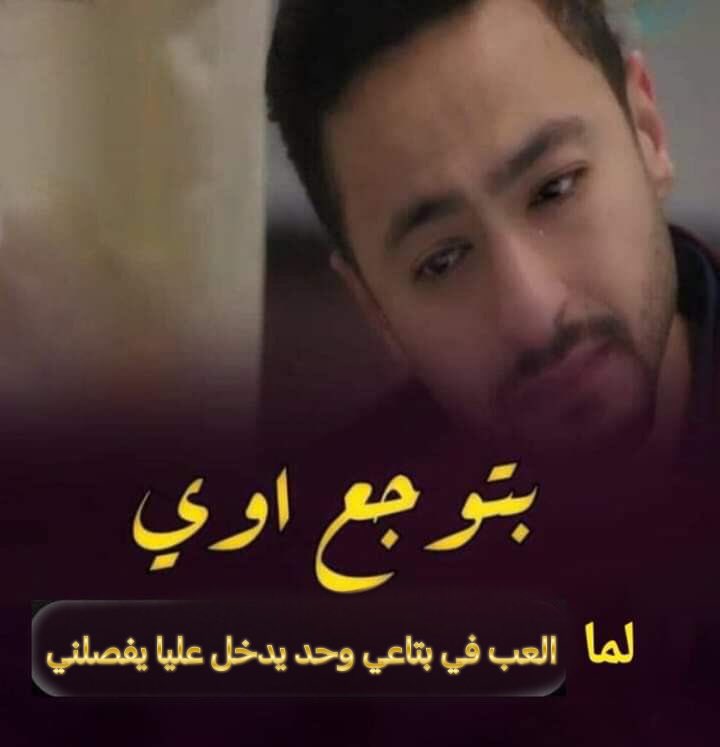 قطه متوحشه🐈‍⬛ tweet media