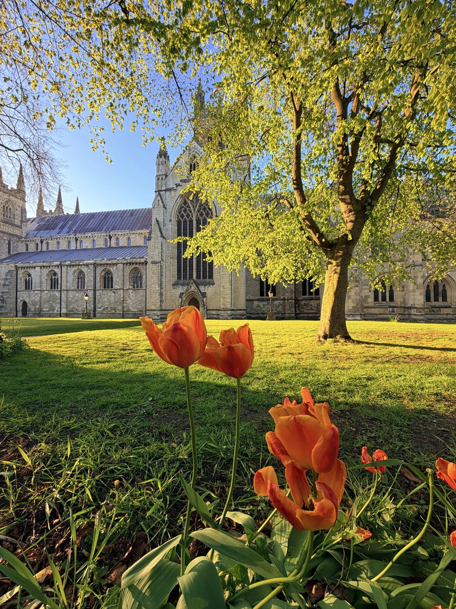 Antony Corrigan tweet media