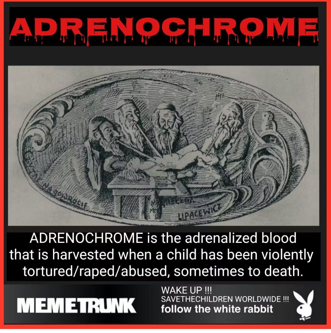 DutchForce17 tweet media