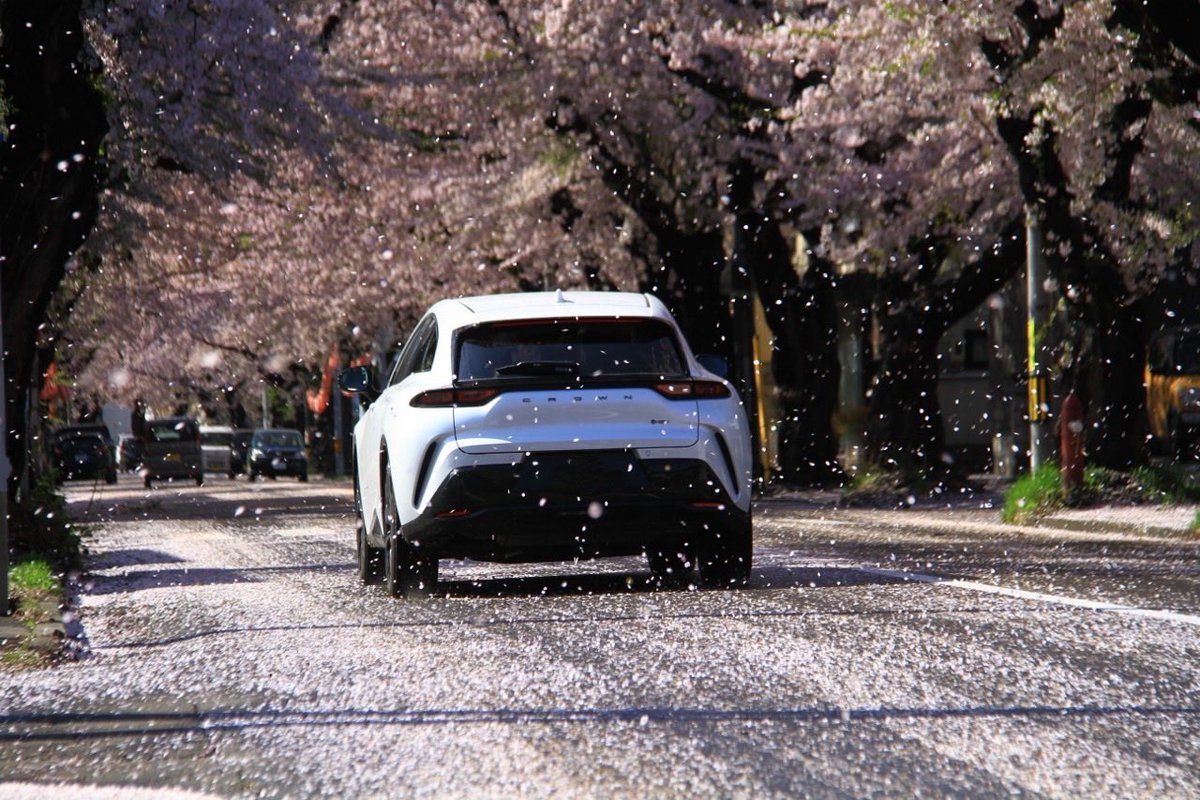 ハチマル tweet media