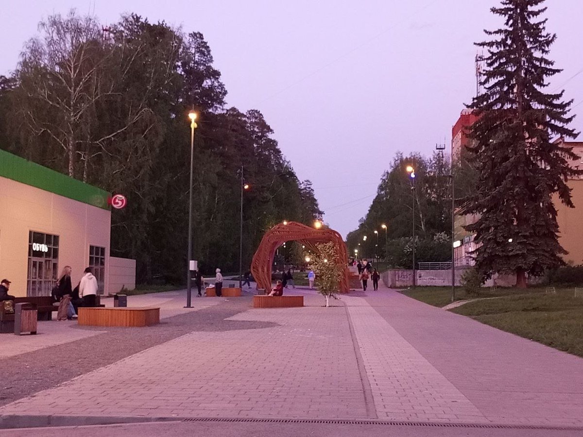 Совушка tweet media