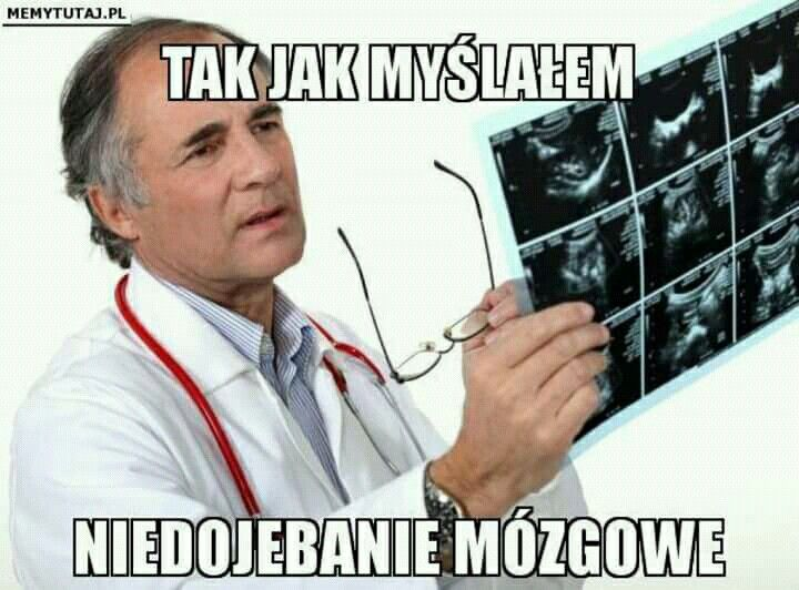 Mofy tweet media