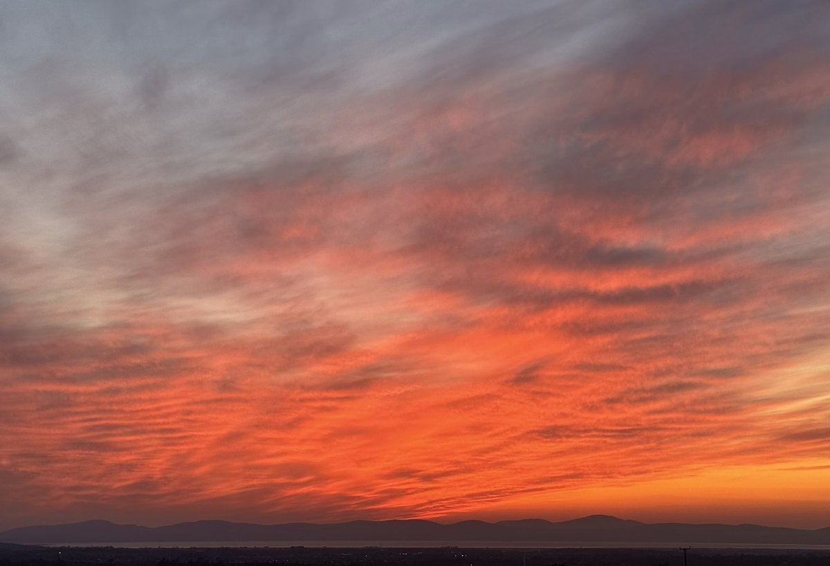 Rachel Cassidy tweet media