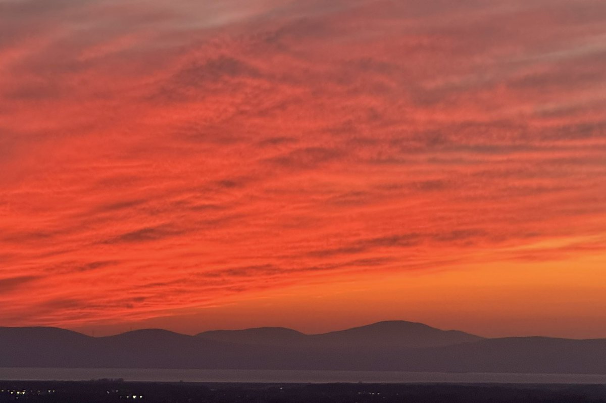 Rachel Cassidy tweet media