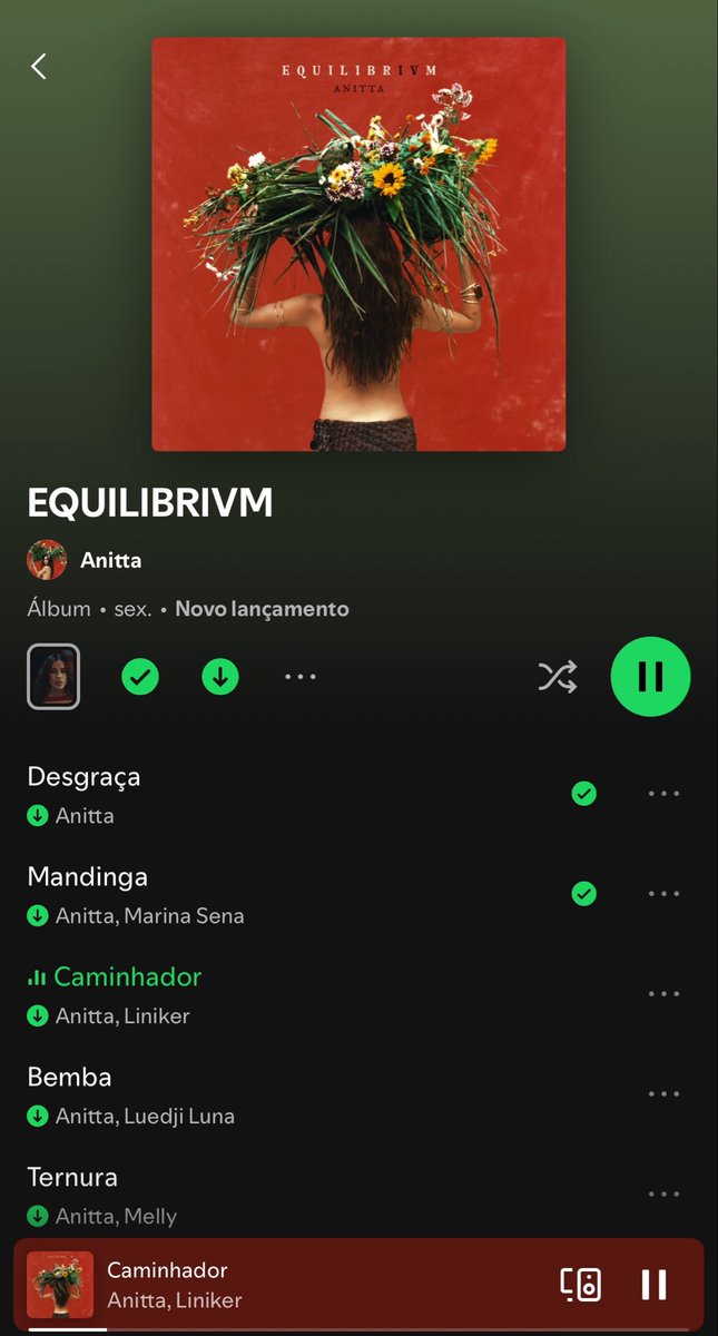 Acesso Anitta tweet media
