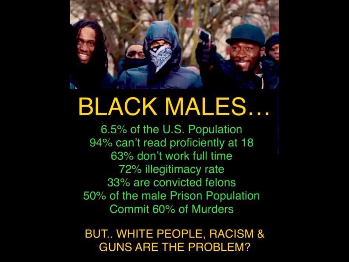 Conspiracy Bear 🐻 tweet media