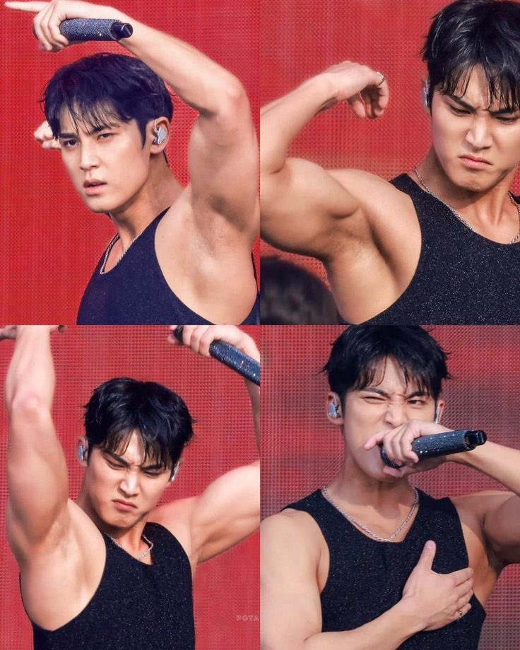 mingyu pits tweet media