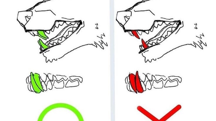 SKULLTYPS© tweet media