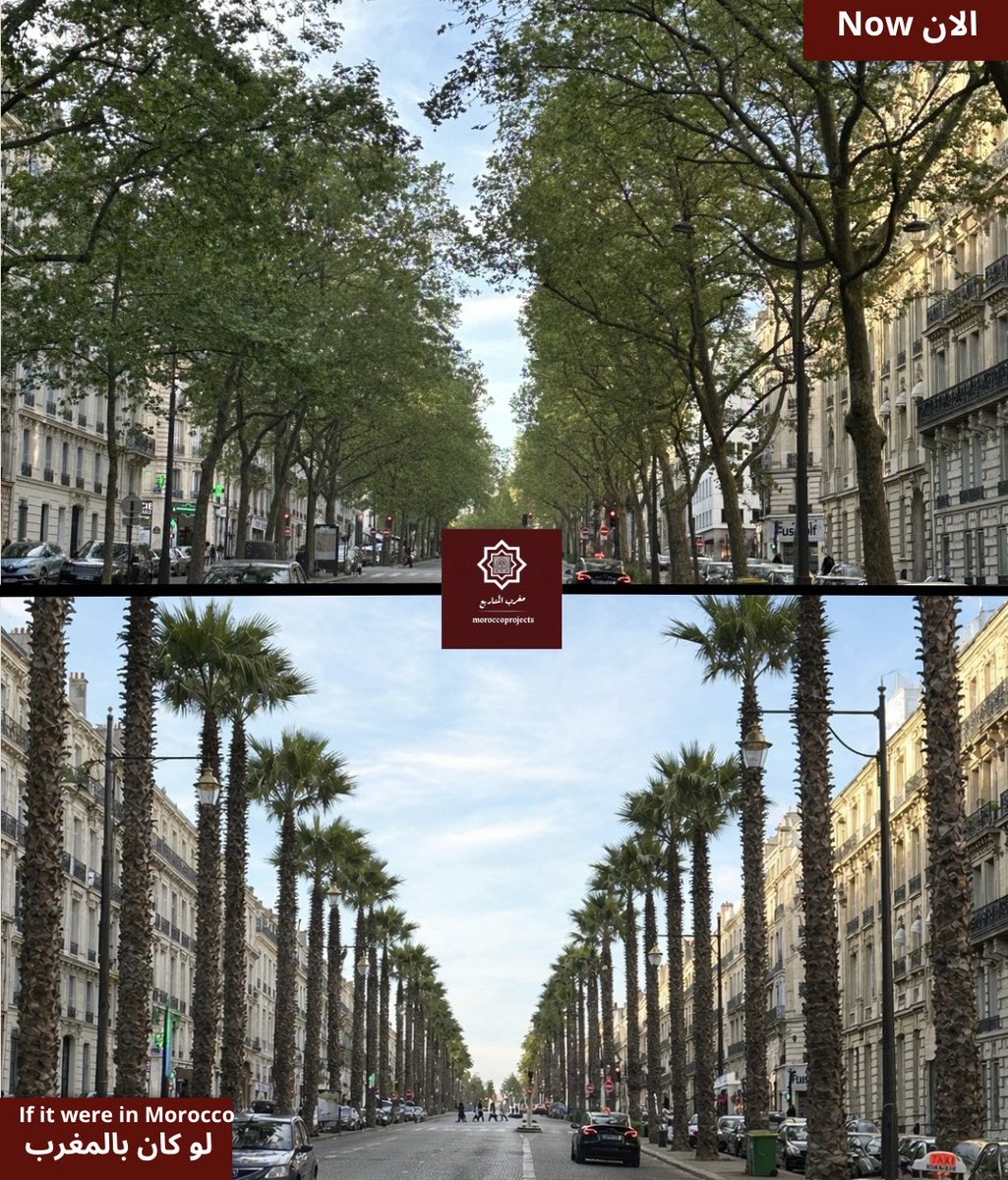 moroccoprojects مغرب المشاريع tweet media