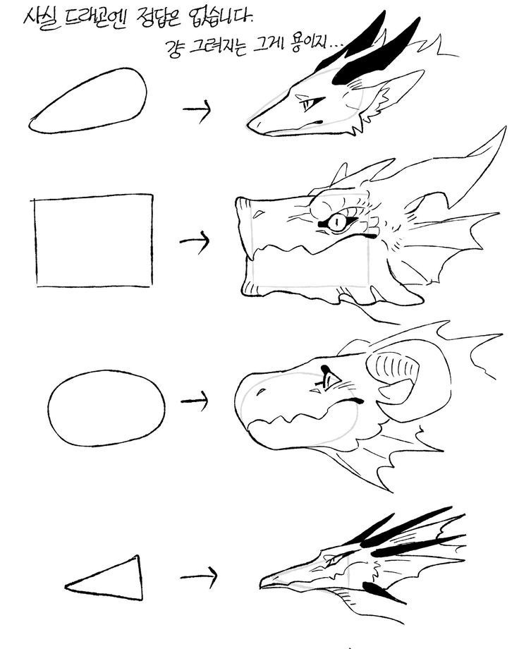 SKULLTYPS© tweet media