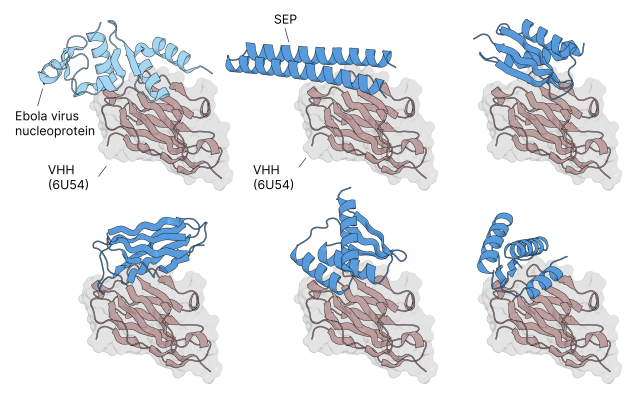 LeoWanPhD's tweet photo. Antibody design is stuck on a data problem, not a model problem. The PDB holds 250,000 structures. Only 811 are unique VHH-antigen complexes. This is the training set the entire field is competing over, and it grows slowly. https://t.co/rECiJ88g8E