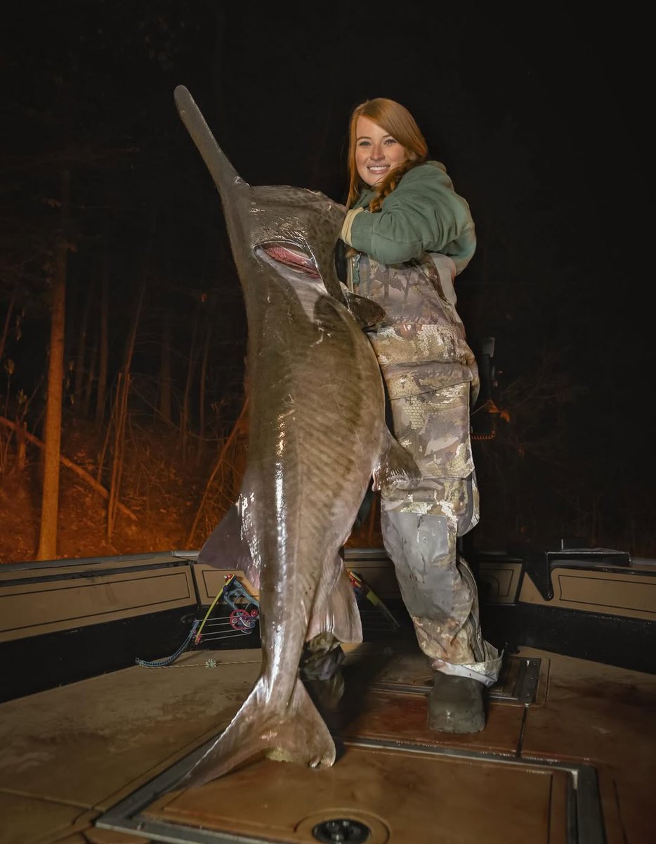 mallorygrace3's tweet image. Finally got my 60 pounder! Huge thank you to @theobsessionoutdoors for putting us on them! 📸 #bowfishing #outdoors #kentucky #paddlefish #fishing