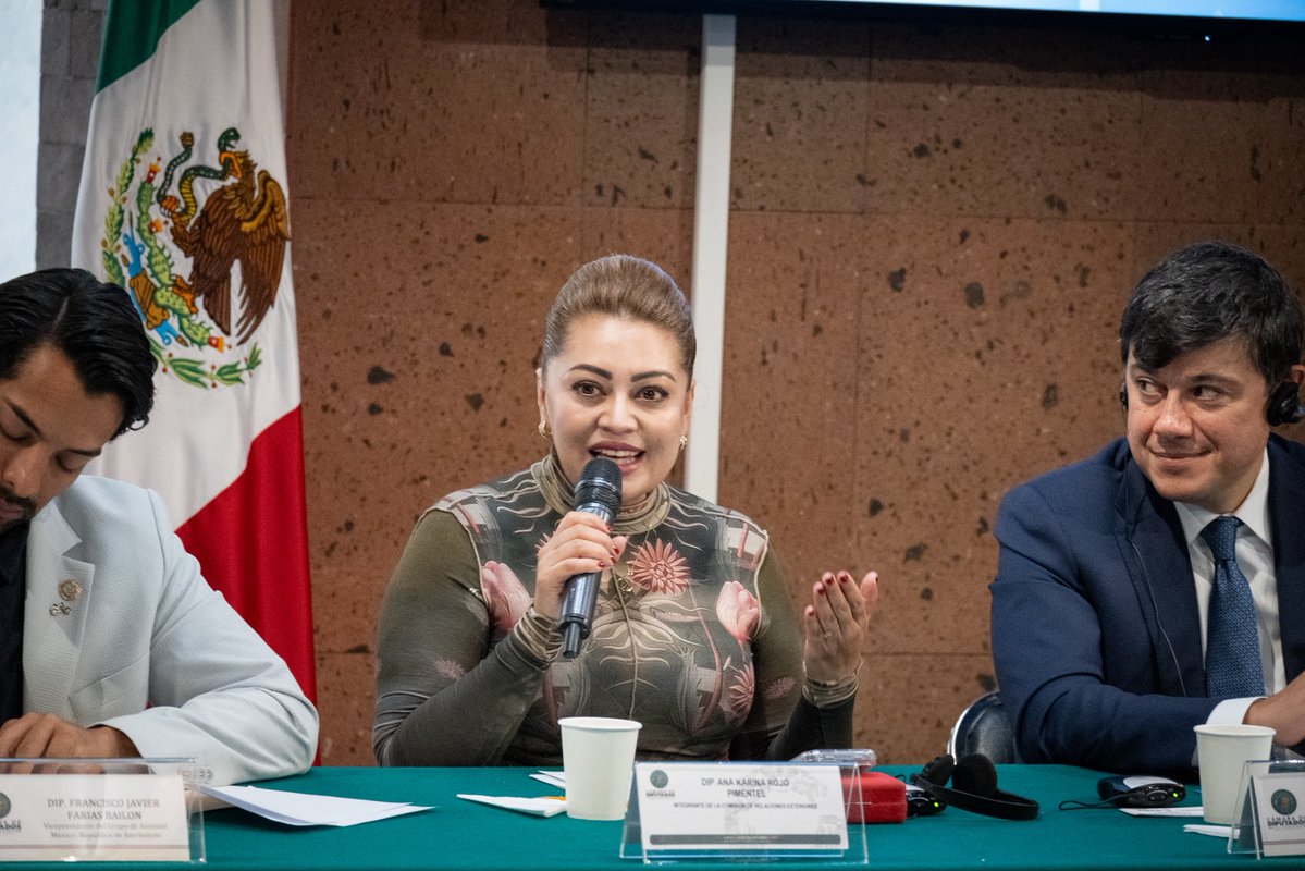 Ana Karina Rojo Pimentel tweet media