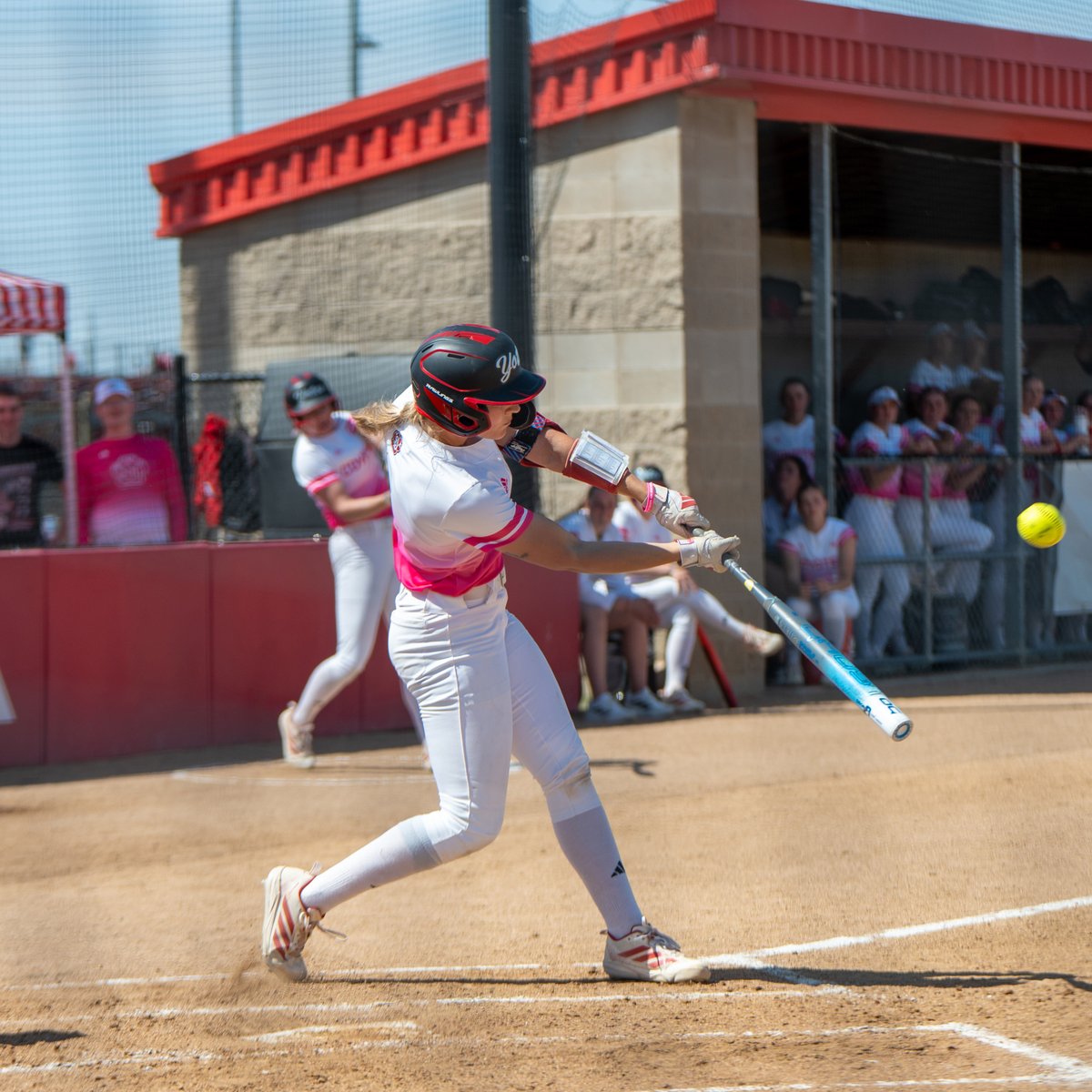 South Dakota Softball tweet media