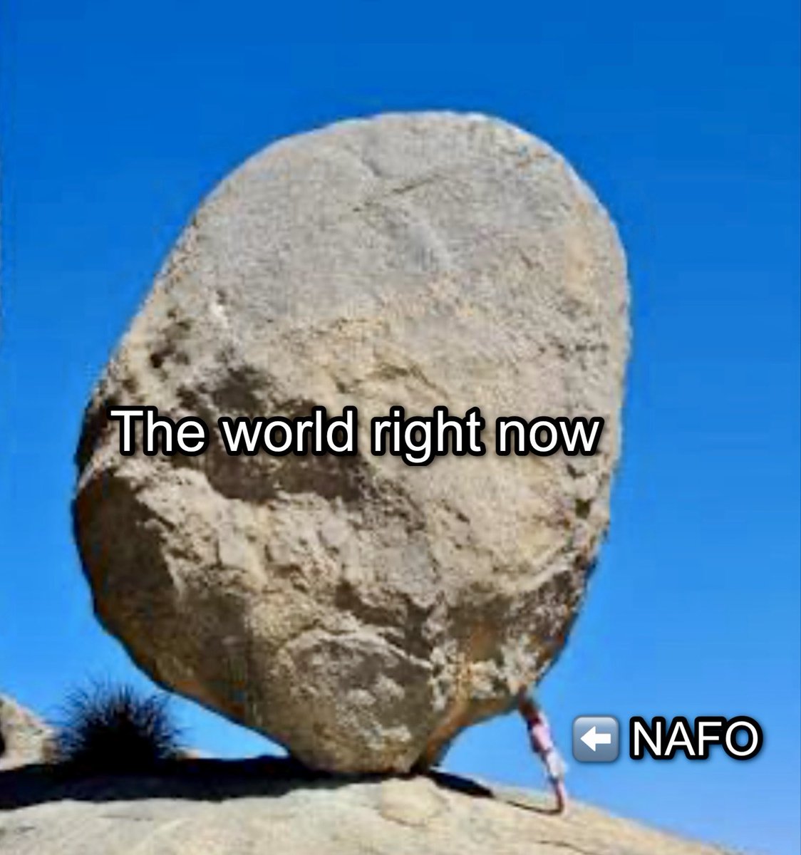 Rock - NA-FO Raccoon tweet media