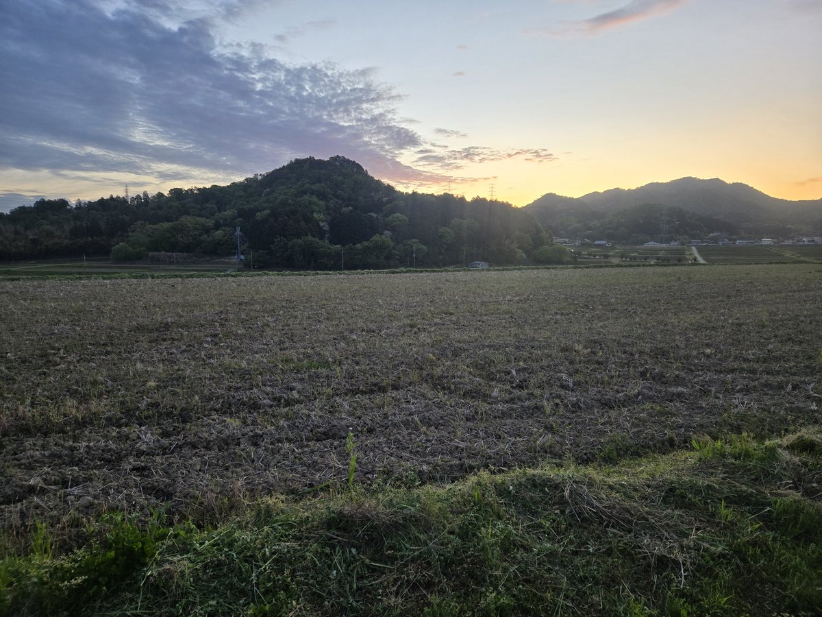 サフラン tweet media