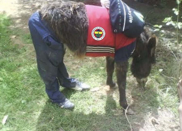 ftgs_'s tweet photo. @Fenerbahce https://t.co/wzgwzp4VO3