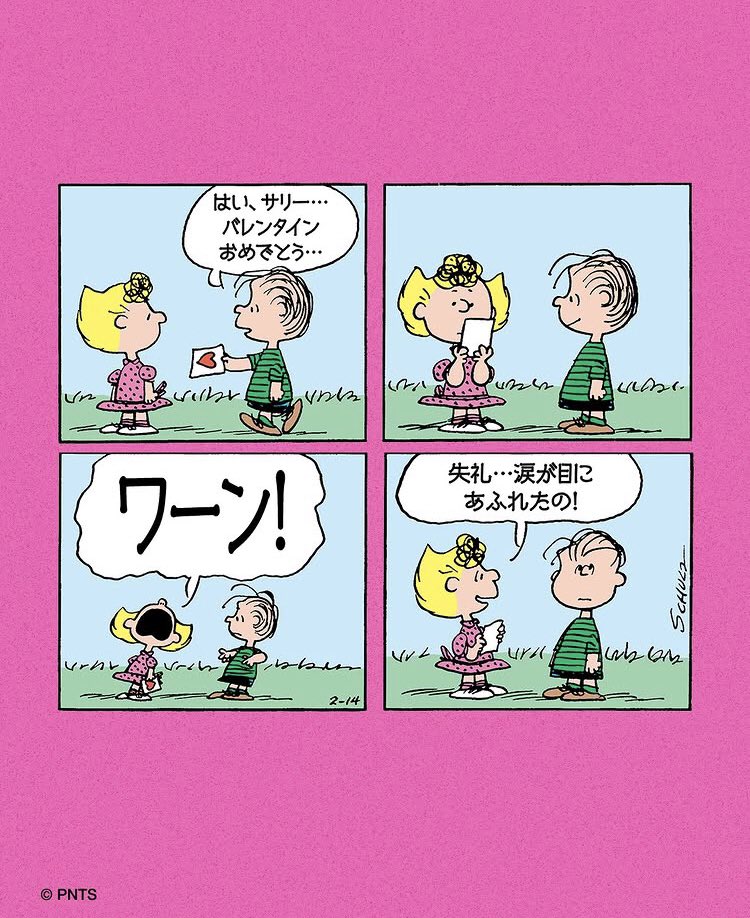 木村樹（®︎茶柱） tweet media