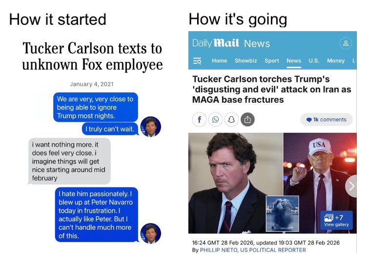 TheFoxesSay tweet media