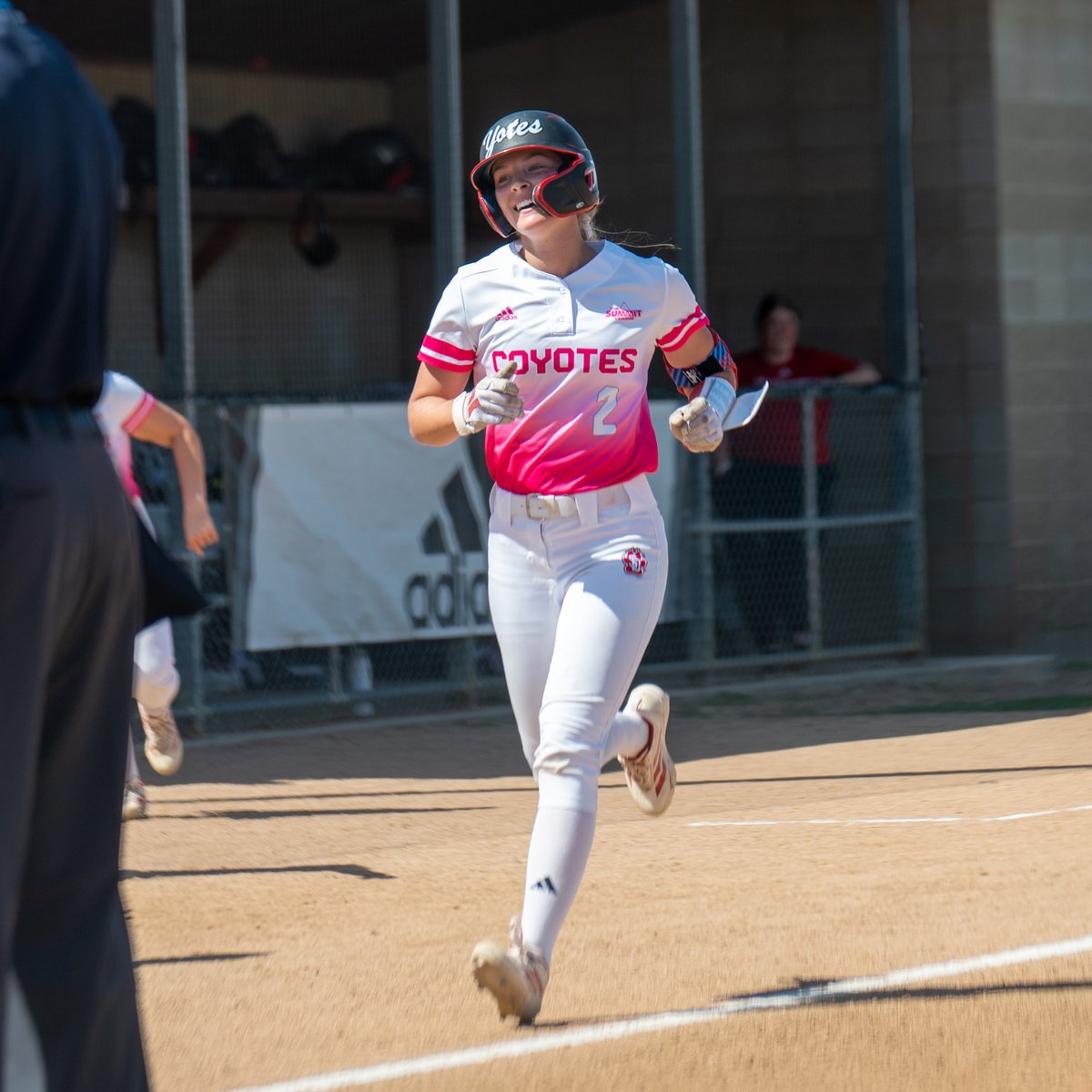 South Dakota Softball tweet media