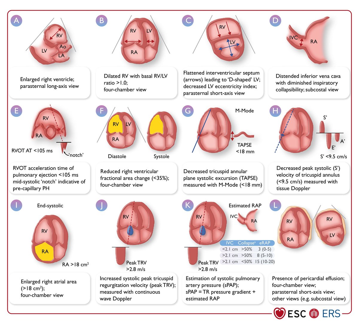 CardioNova tweet media