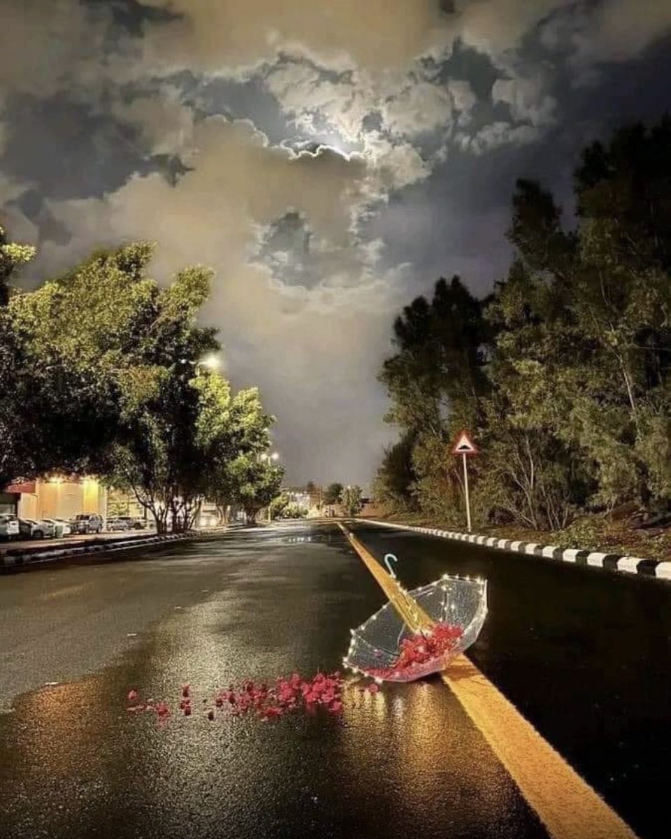 عبير الورد tweet media