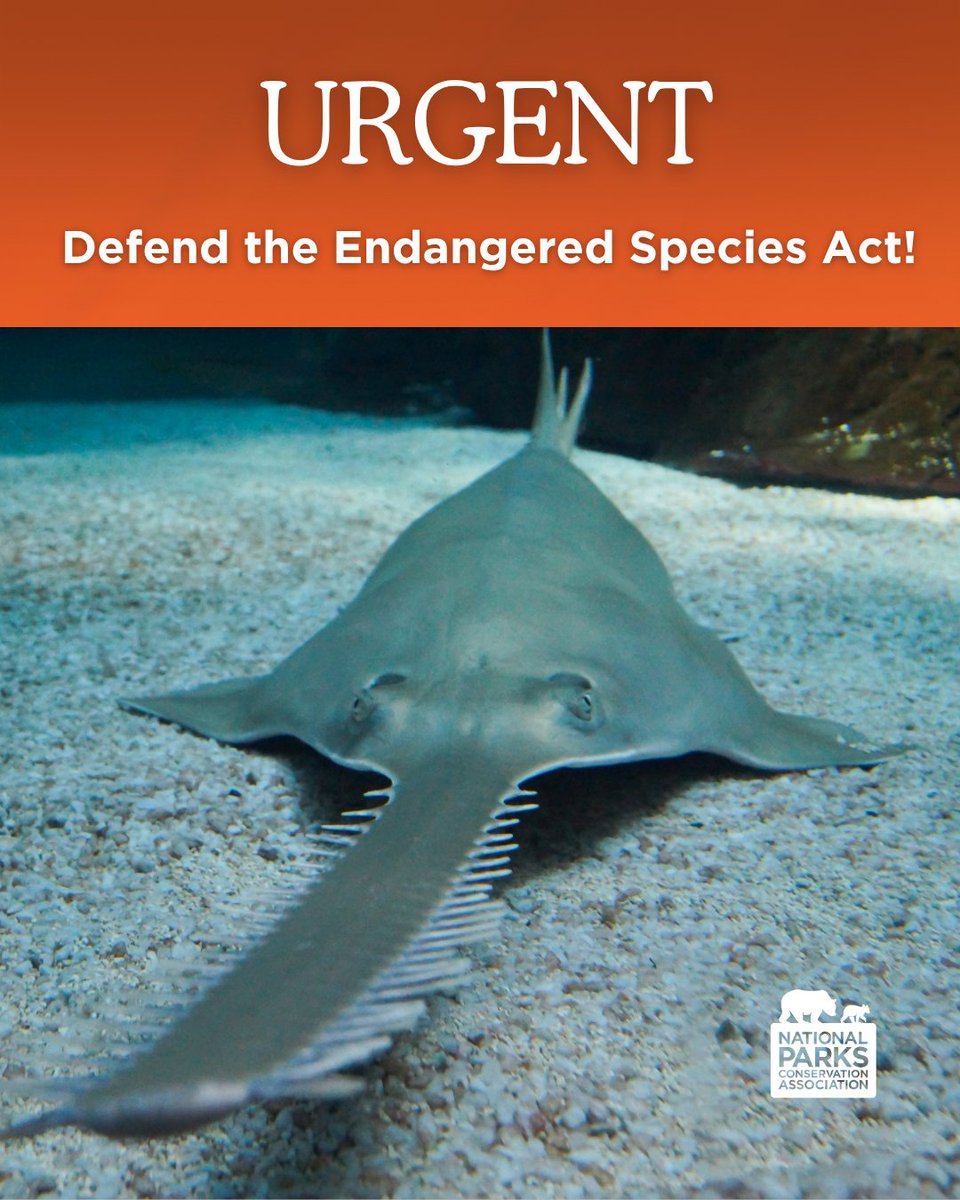 National Parks Conservation Association tweet media