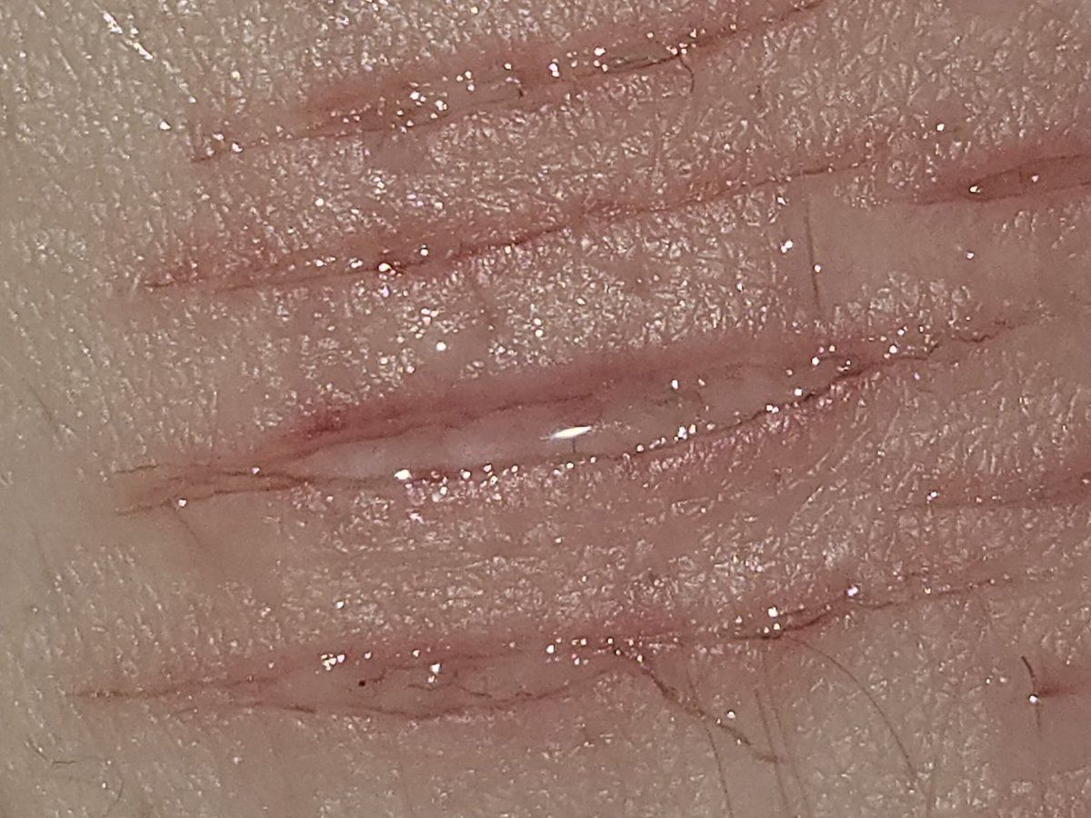 ⋆˚꩜ ‧₊˚ ꒰ ˖Tsuqiuᶻ 𝗓 𐰁 .ᐟ 🧷 tweet media