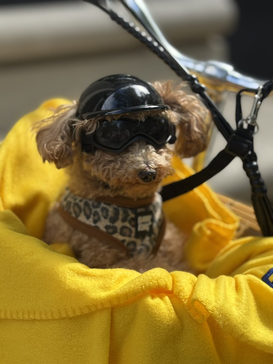 Paweł Żuchowski tweet media