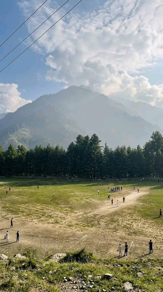 Nature Focus tweet media