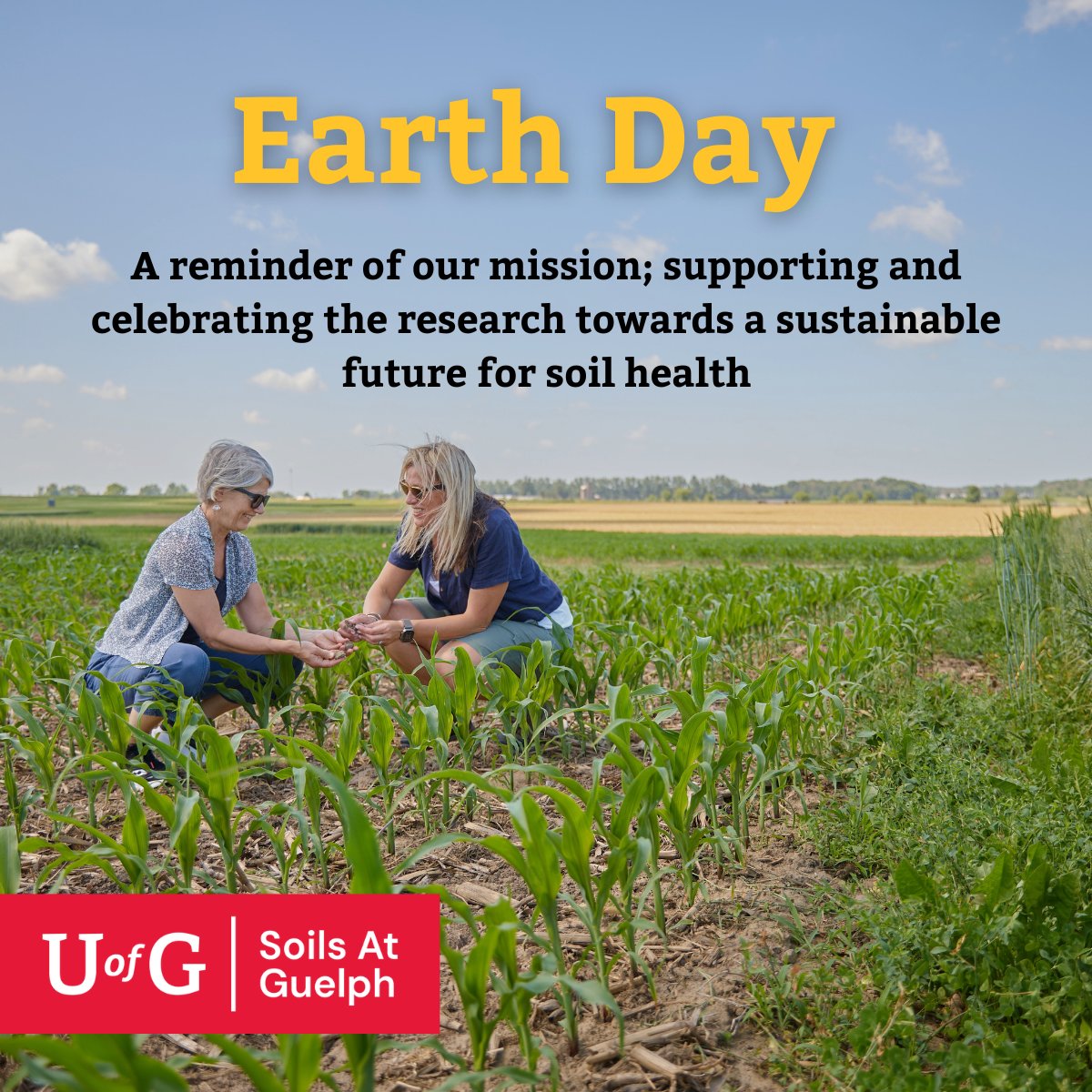 SOILS AT GUELPH tweet media