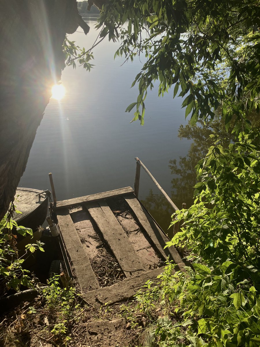 жолудевий миш🍂 tweet media