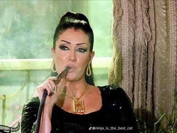 يارب آلاء تدخل جامعة|🇸🇾 tweet media