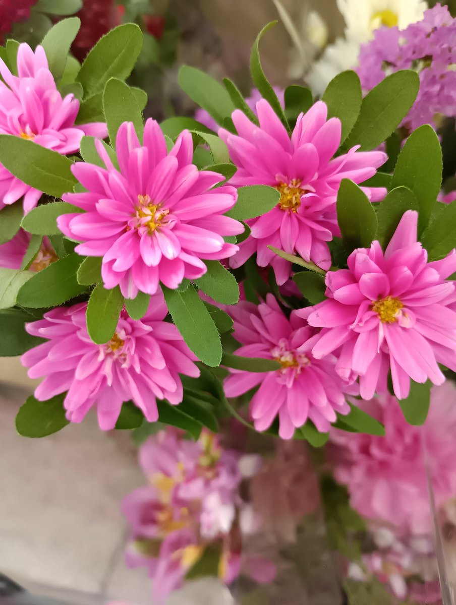 ブレスト tweet media