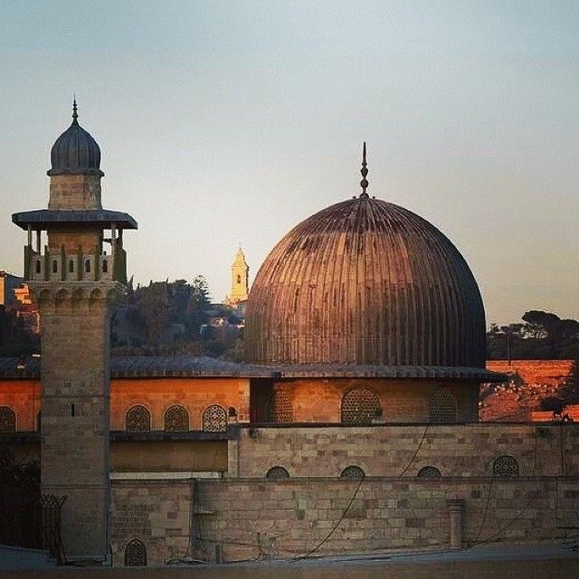 Castro ☭ tweet media