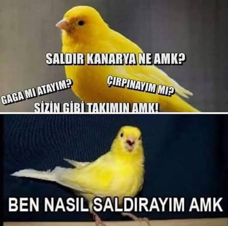 M,E (@mebrem1903) on Twitter photo 