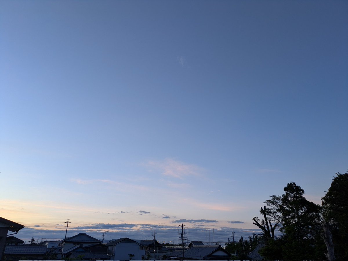 まるちゃん tweet media