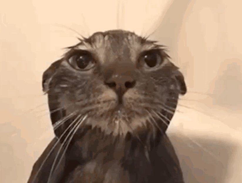 °☆russ☆° tweet media