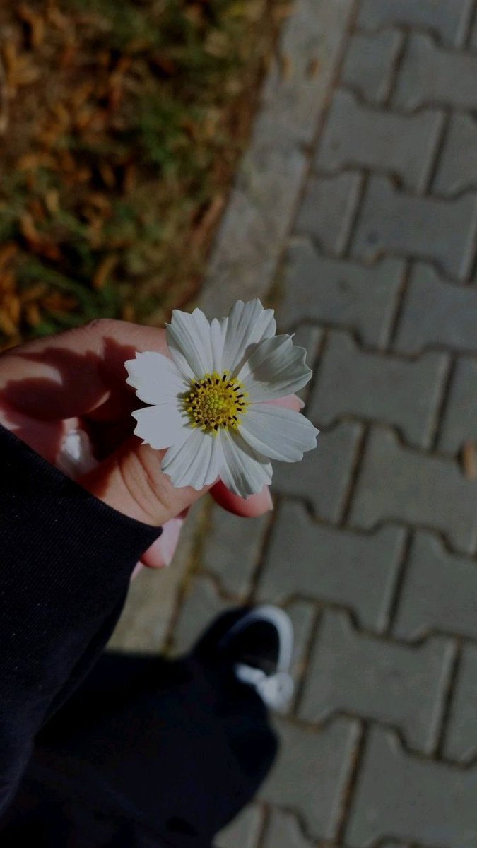 Ay_Ay__17's tweet image. Çiçekler çok güzel açınca "yerini sevdi"deriz ya hani.
İnsan içinde aynısı geçerli.
İnsan da çiçek gibi.
...açtığı yer var,solduğu yer var.
#A